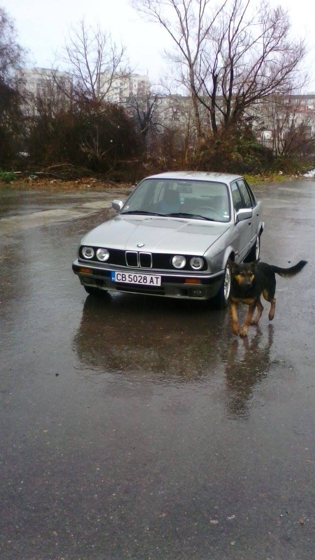 bmw i koche.jpg