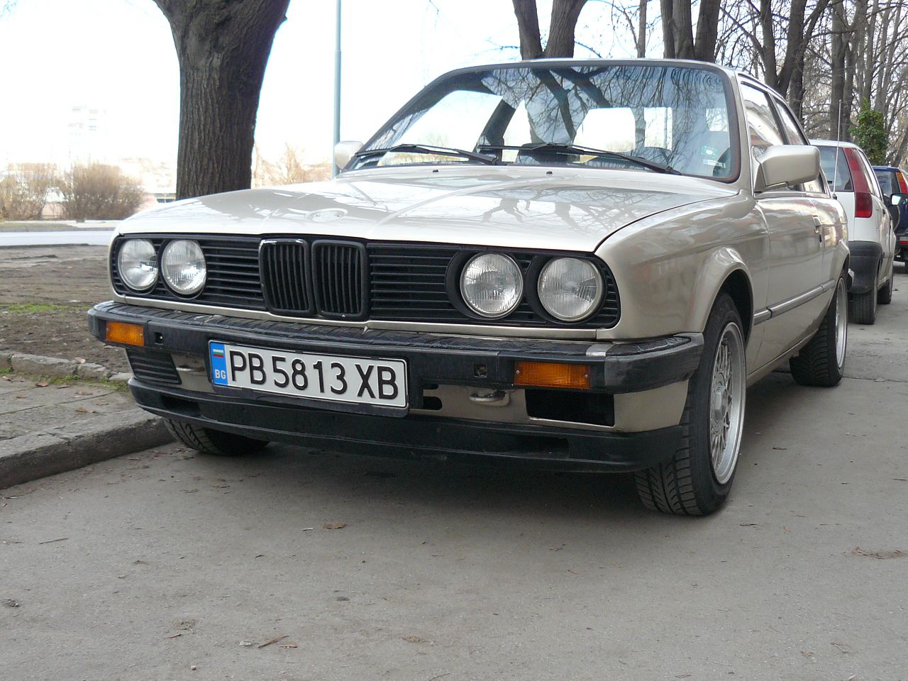 P1080163.jpg