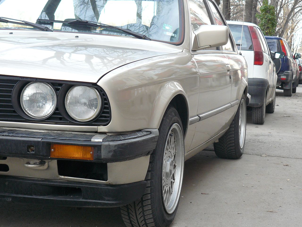 P1080164.jpg
