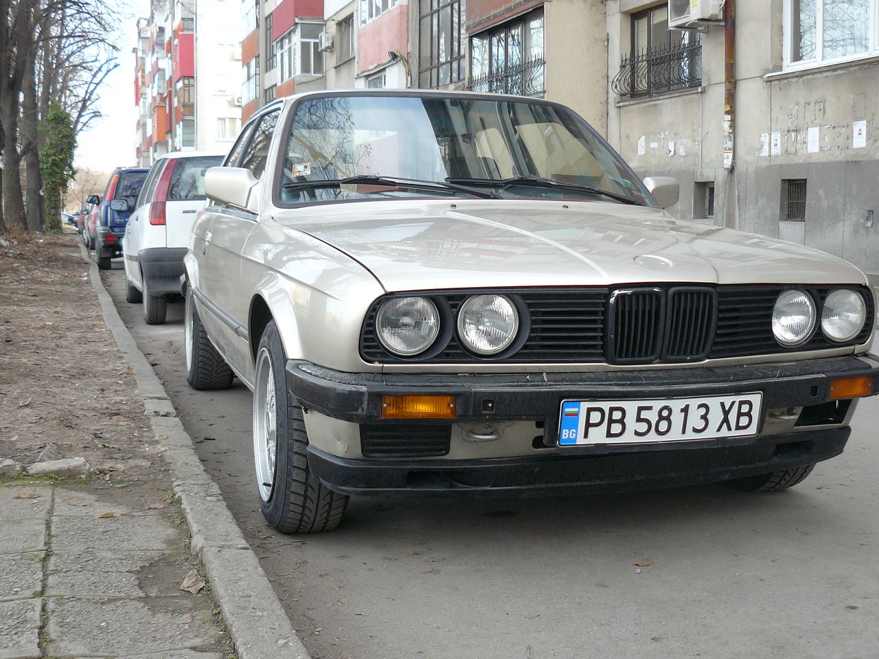 P1080165.jpg