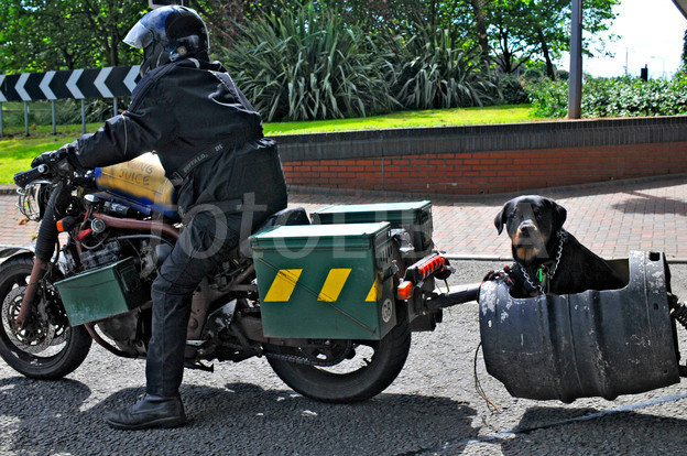605837-man-on-motorbike-dog-in-beer-barrel.jpeg