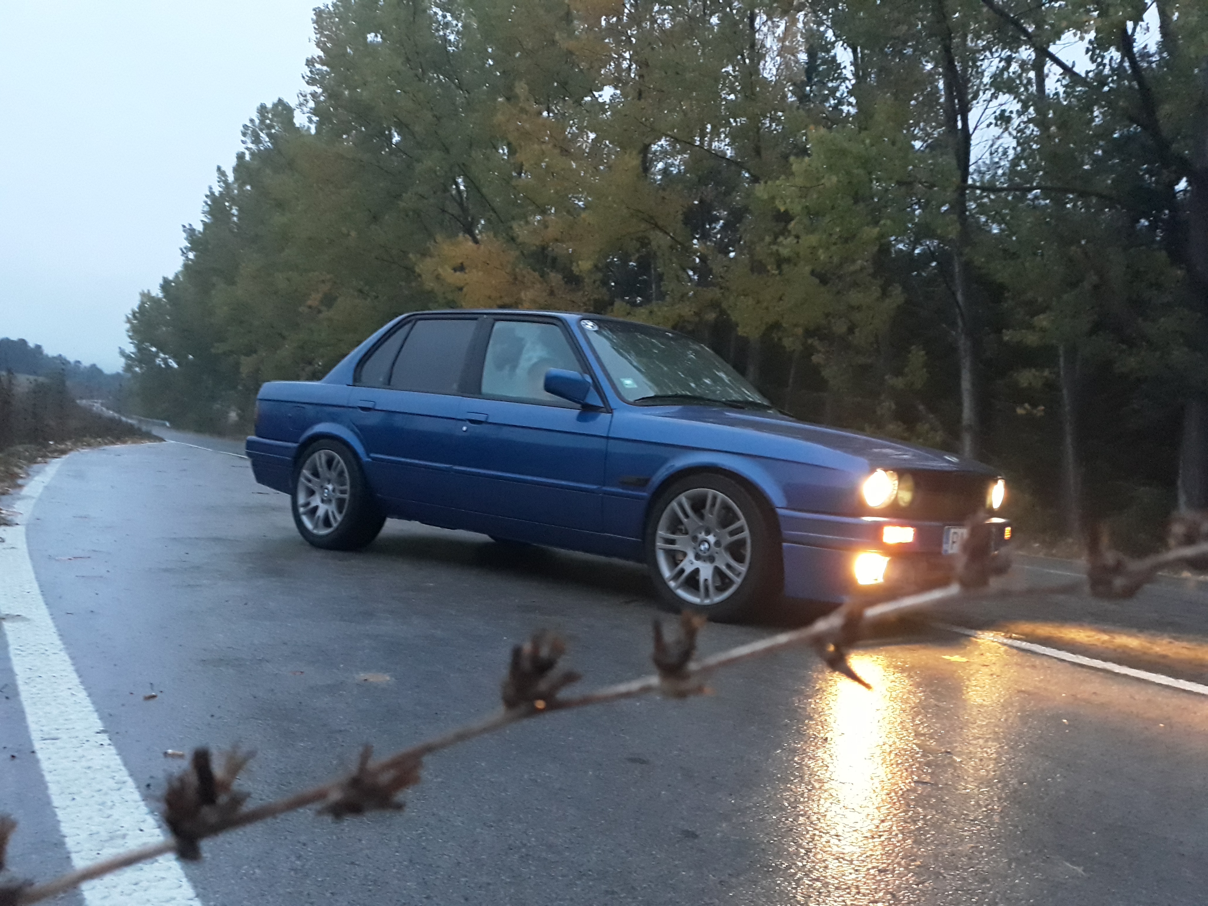 20180930_191349.jpg