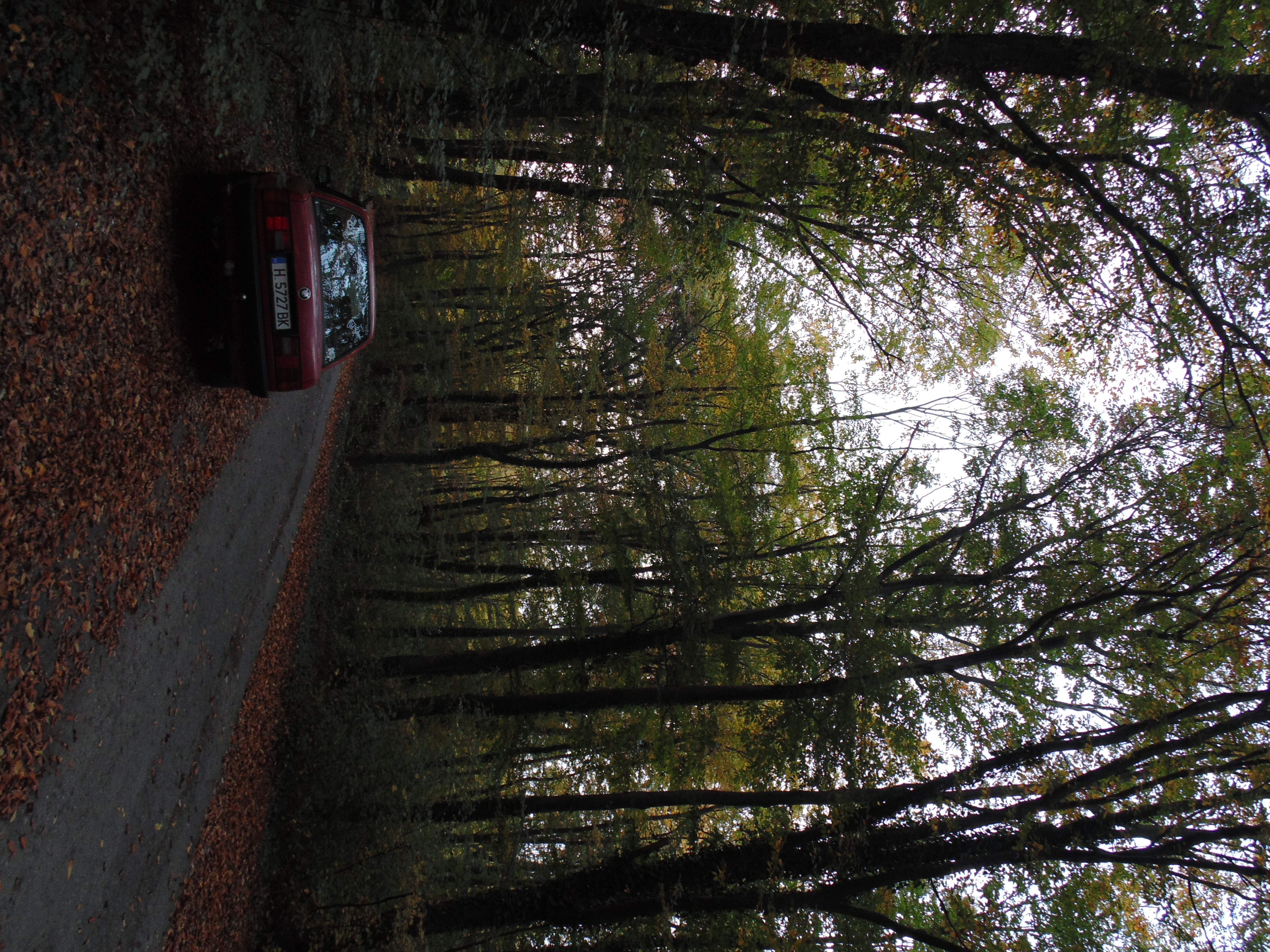 DSC03719.JPG