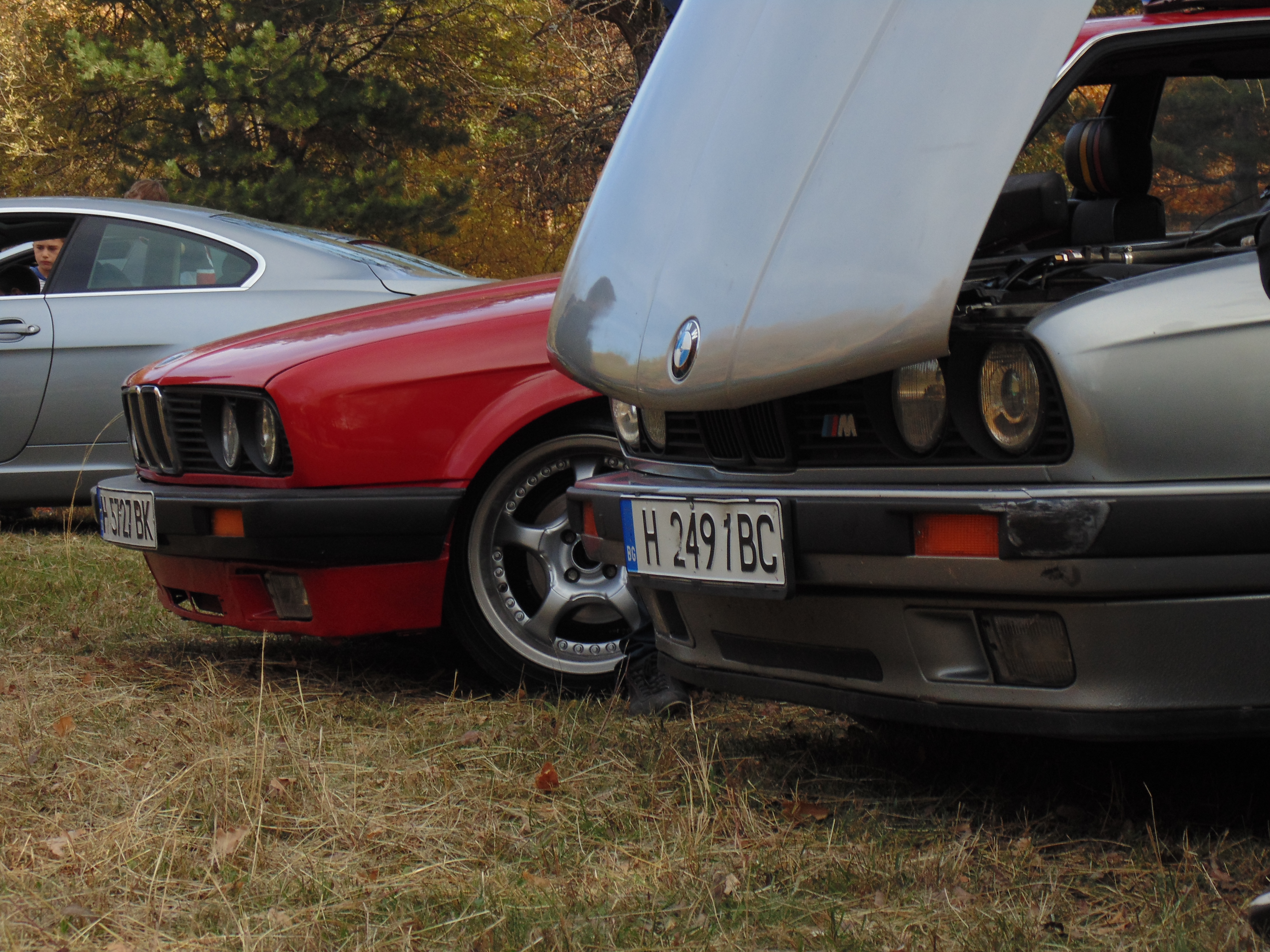 DSC03753.JPG